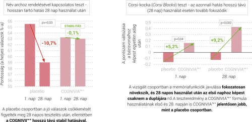 DuoLife My Mind (Memória, koncentráció támogatása)– MOST EXTRA KEDVEZMÉNNYEL!