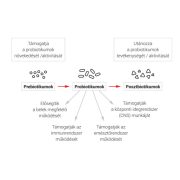 DuoLife Clinical Formula ProBactilardii® 
