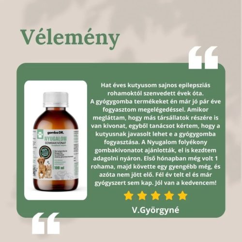 gomba DR. NYUGALOM folyékony gombakivonat társállatok részére